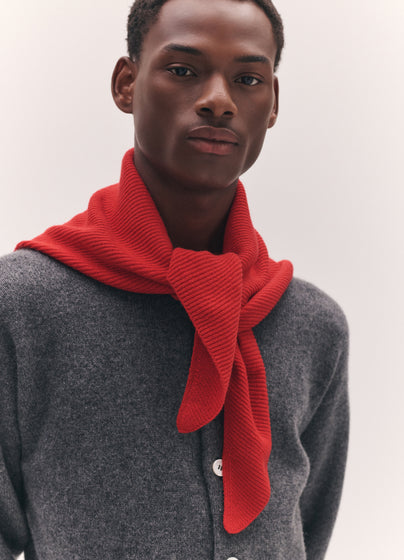 Mens Fionn  XL Cashmere Foulard in Poppy Red