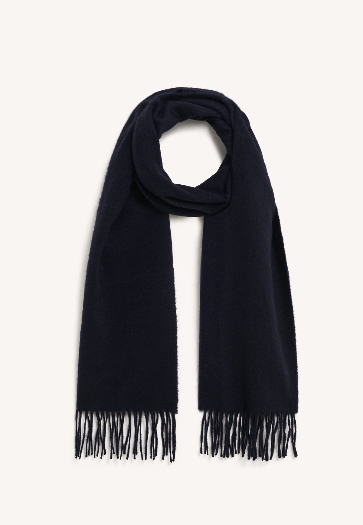 Fringed Cashmere Scarf