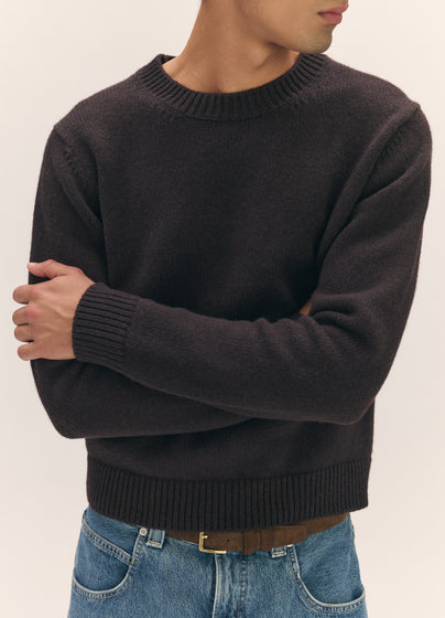 Mens Rosha Crewneck in Dark Brown
