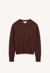 Skye Cashmere Crewneck in Dark Brown