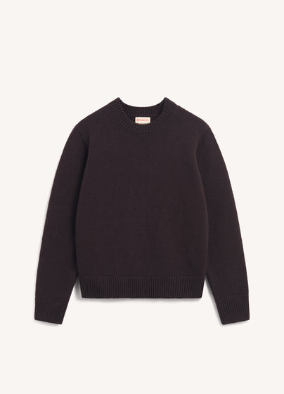 Mens Rosha Crewneck in Dark Brown